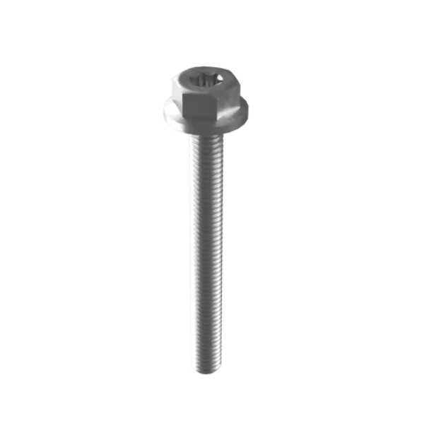 Esdec M6 x 55mm Mounting Screw | 1000655 | HDM Solar